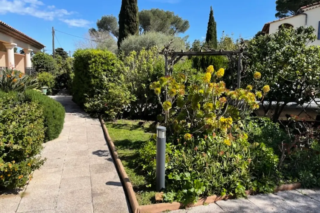 T2 De oranje boom van de Antibes Cap