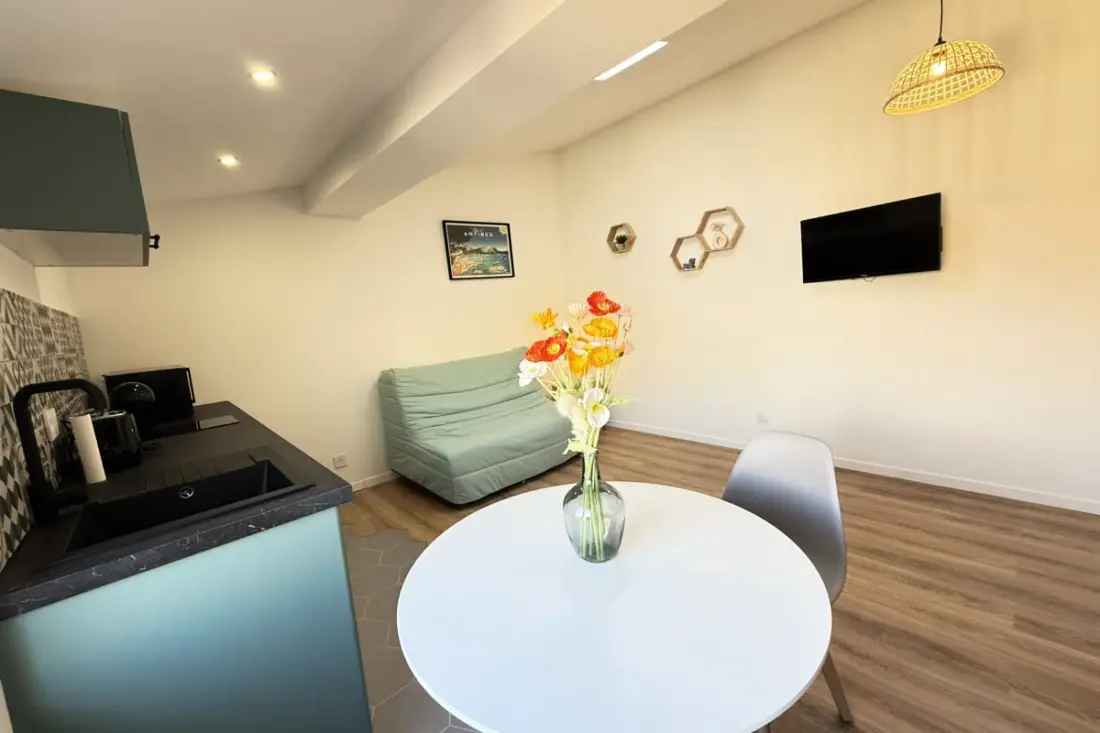 Viel Antibes - Studio Renovated & Full Charm