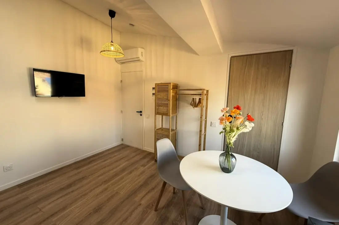 Viel Antibes - Studio Renovated & Full Charm