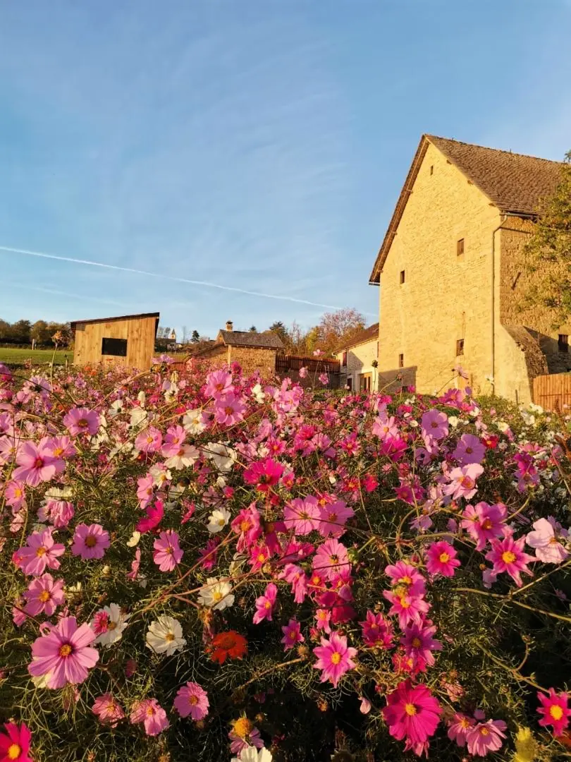 Gîte de France Gîte le crespin 4 Ähren