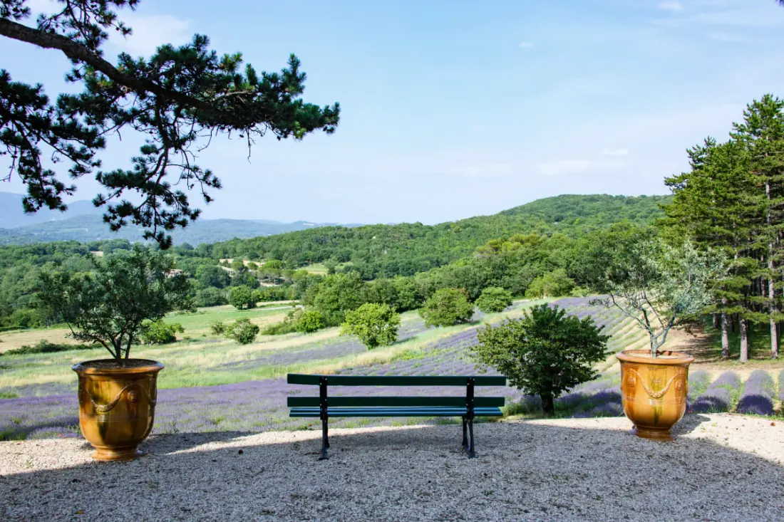 Bastide De L'esclat - Bajnokok De Lavandes & Swimming pool