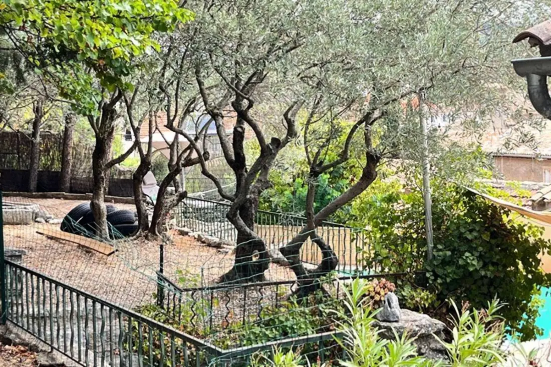 Villa Balleti - Private medence nézetekkel