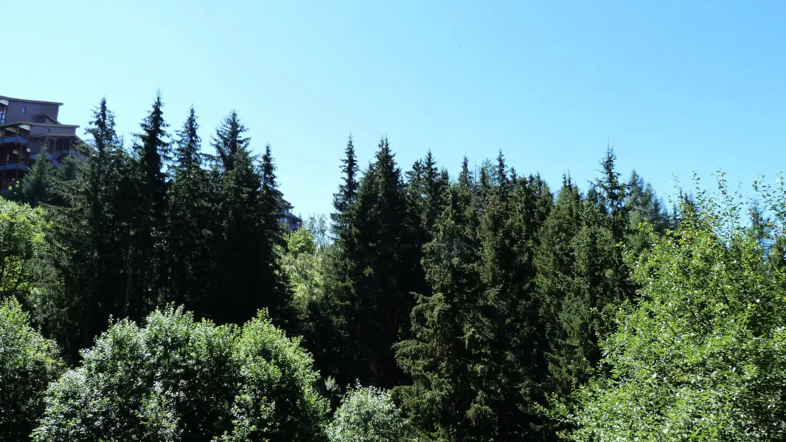 Residence Aiguille Des Glaciers