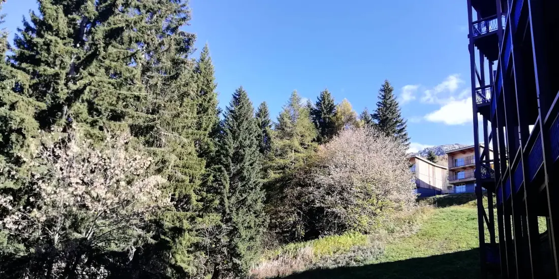 Residence Aiguille Grive Bat I