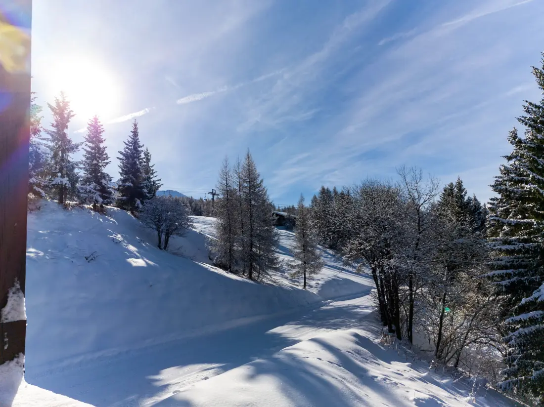 Residence Aiguille Grive Bat I