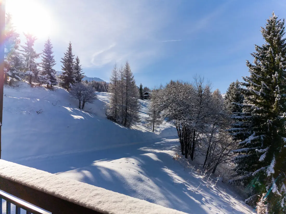 Residence Aiguille Grive Bat I