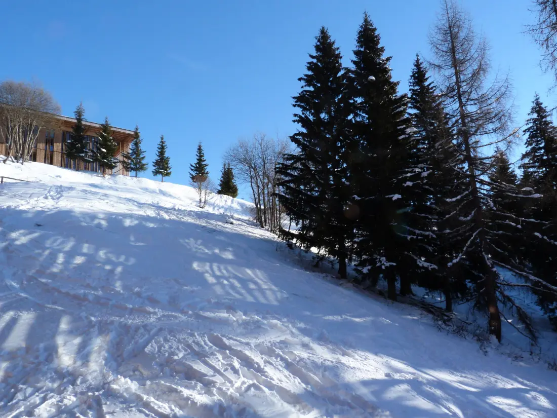 Residence Aiguille Grive Bat I