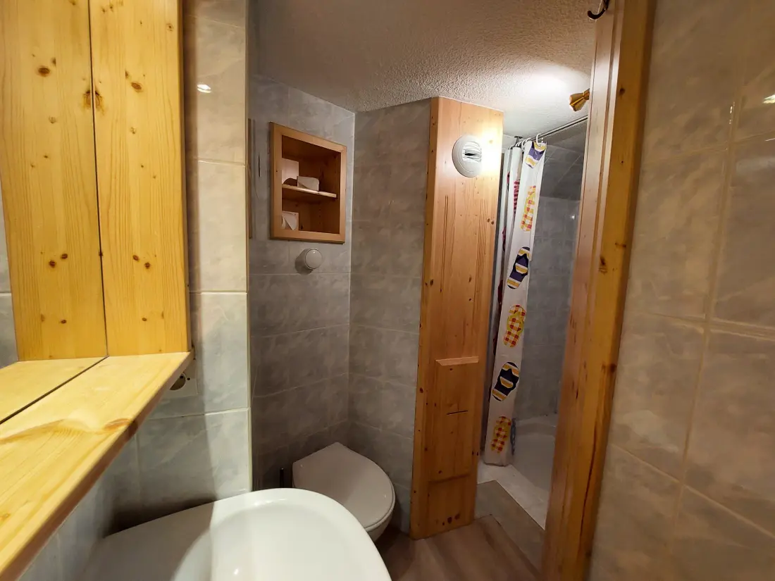 Residence Aiguille Grive Bat I