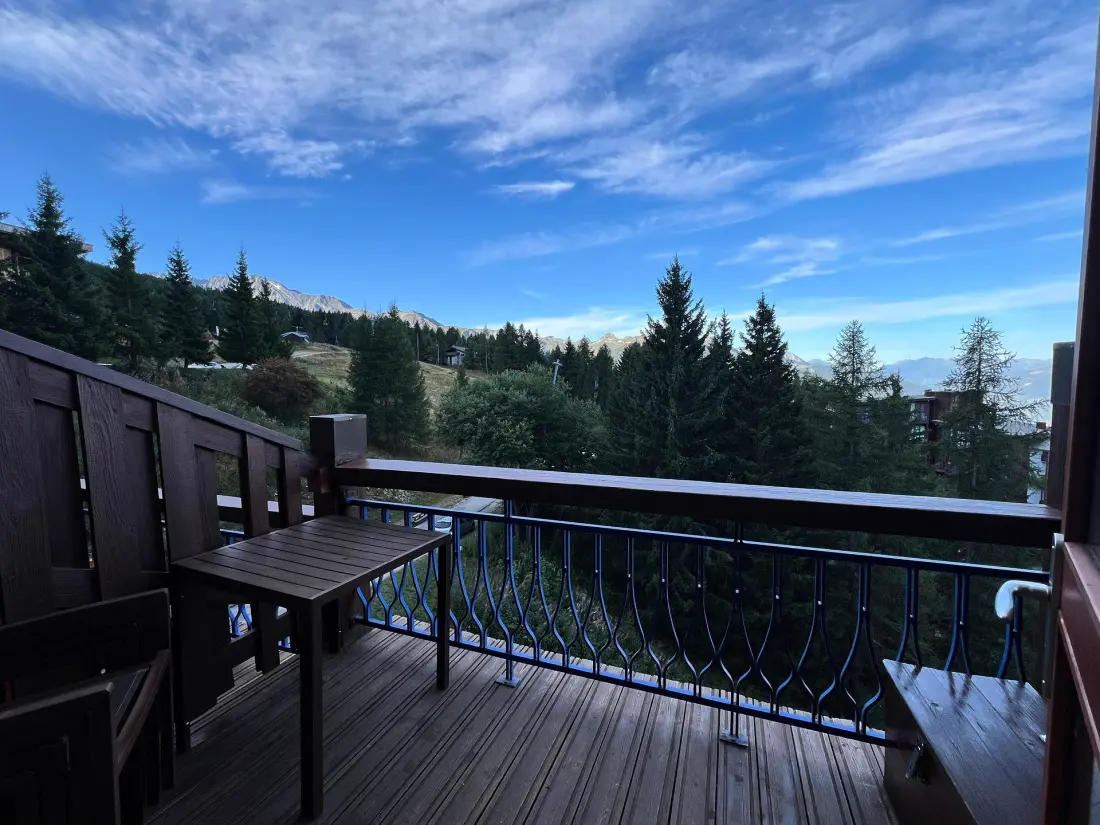 Residence Aiguille Grive Bat I