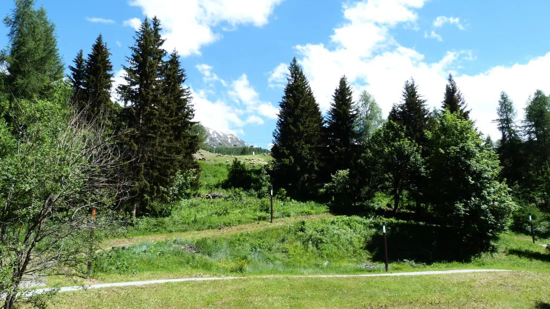 Residence Aiguille Grive Bat II