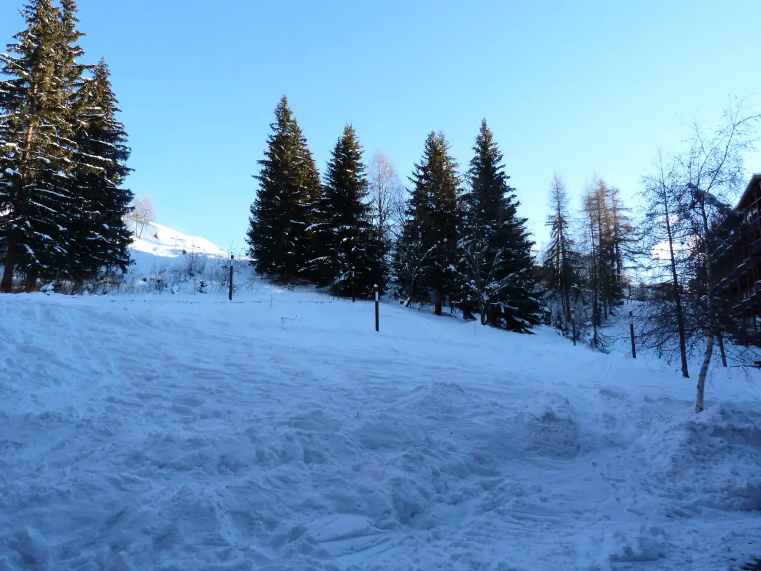 Residence Aiguille Grive Bat II