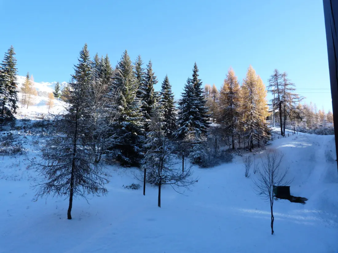 Residence Aiguille Grive Bat II