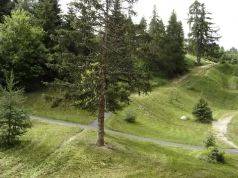 Residence Aiguille Grive Bat II