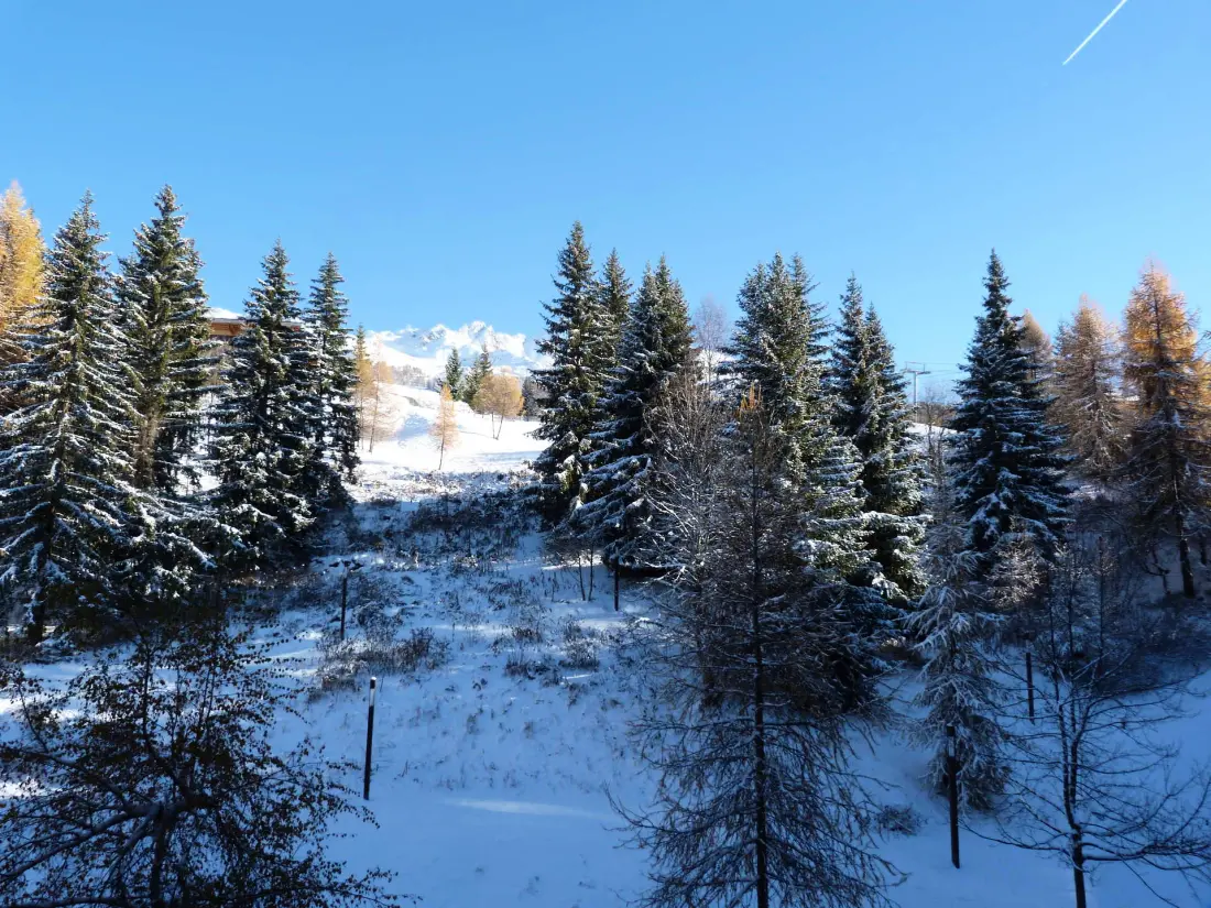 Residence Aiguille Grive Bat II
