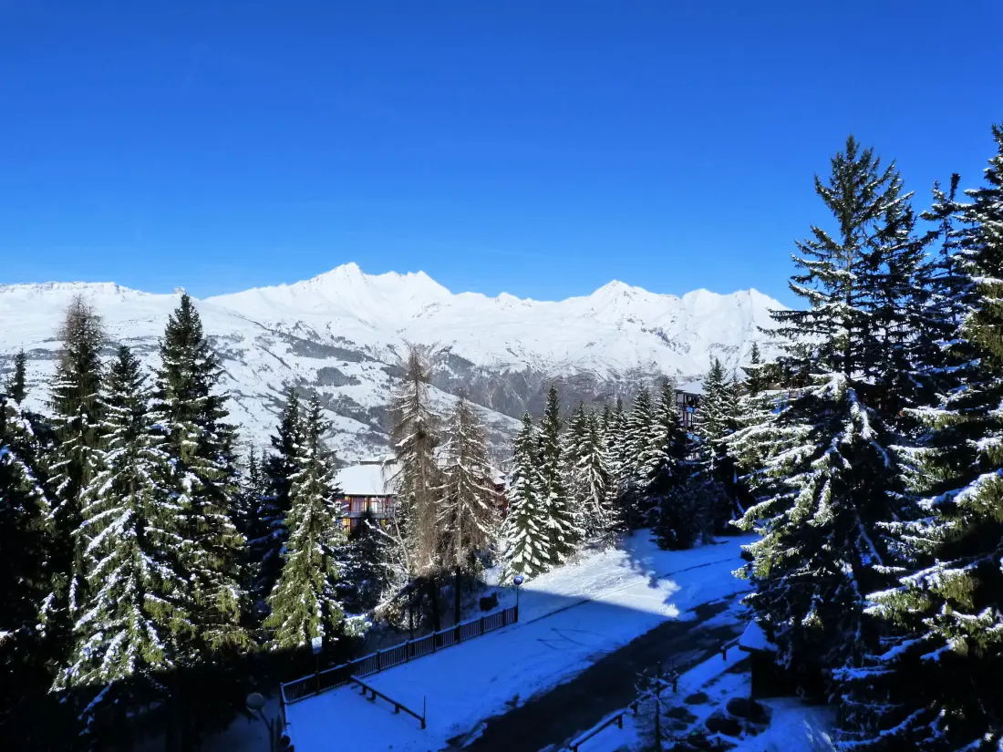 Residence Aiguille Grive Bat II