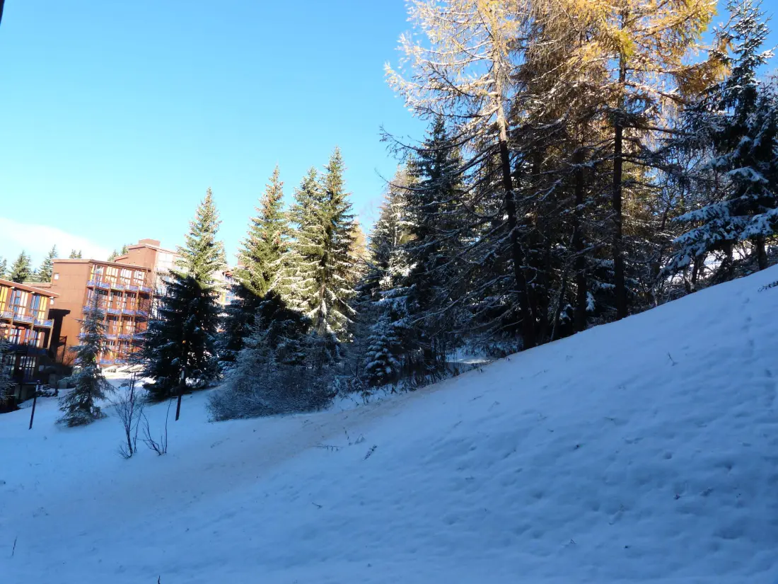 Residence Aiguille Grive Bat II
