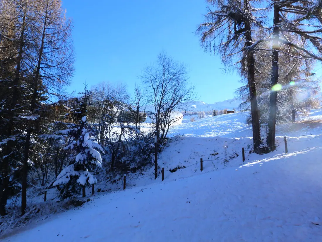 Residence Aiguille Grive Bat II