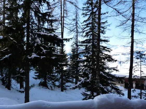 Residence Aiguille Grive Bat II