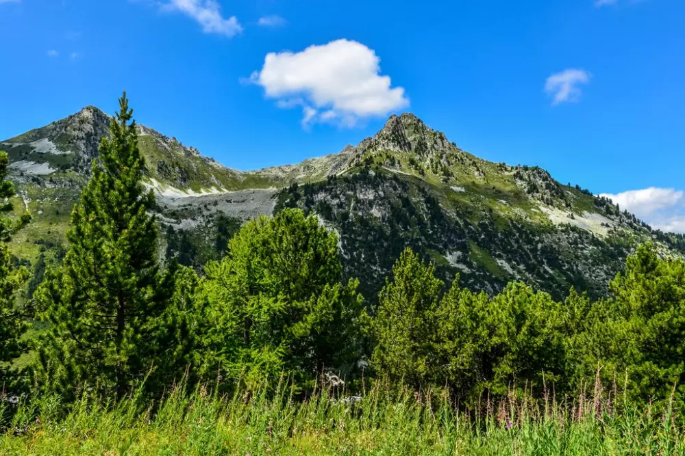 Residencia La Cime des Arcs4 Estrellas★★★★ - Chalet des Neiges