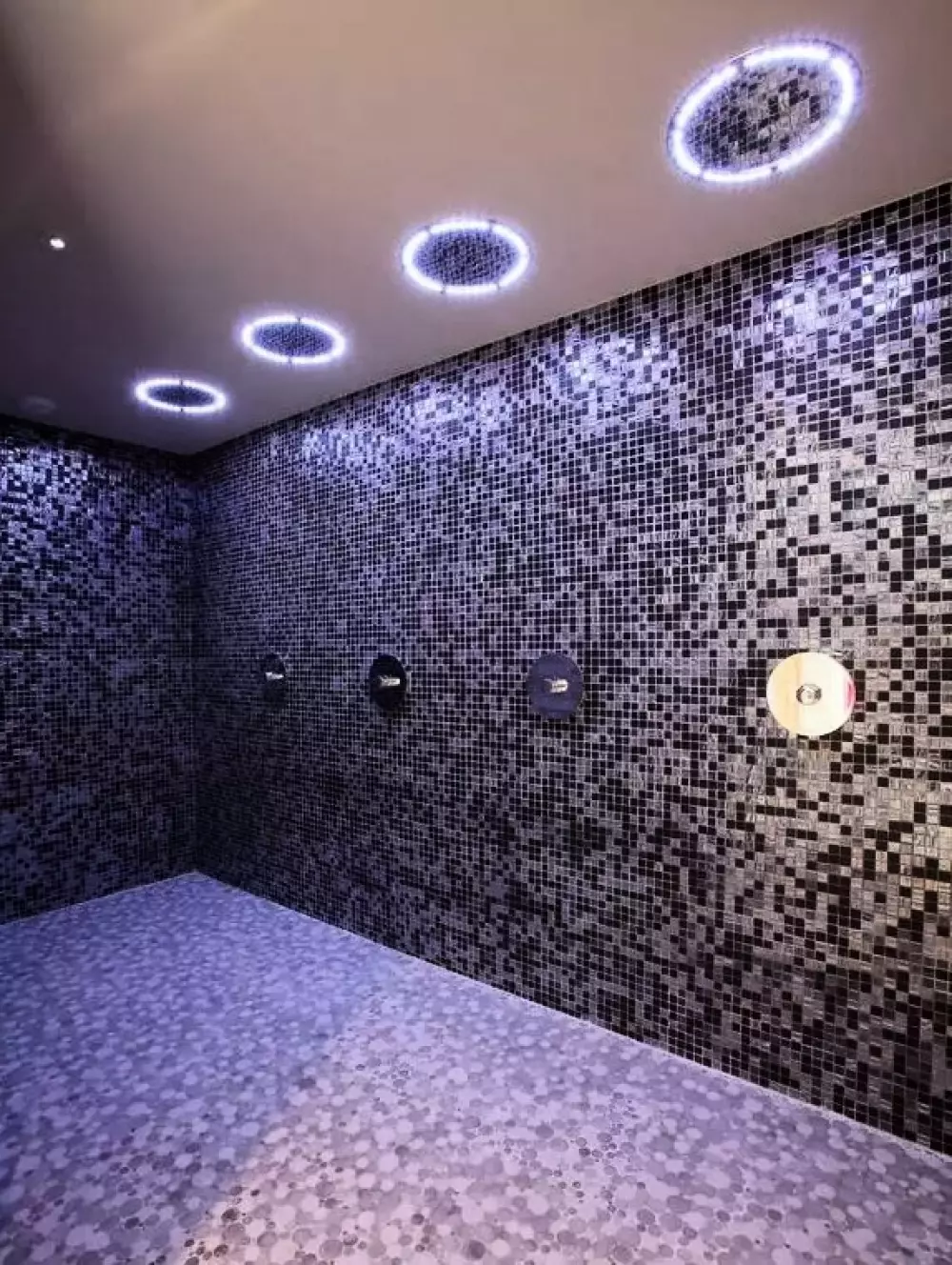 Residence La Source des Arcs5 Stars★★★★★ - Chalet des Neiges