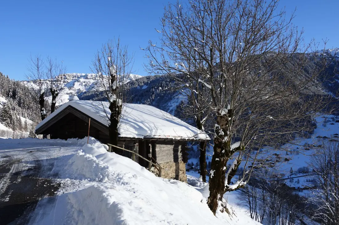 Chalet