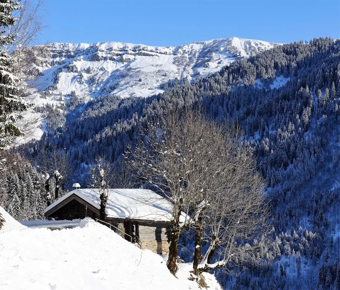 Chalet