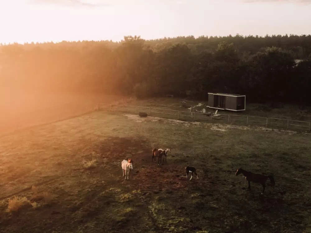 Marottin - Parcel Tiny House
