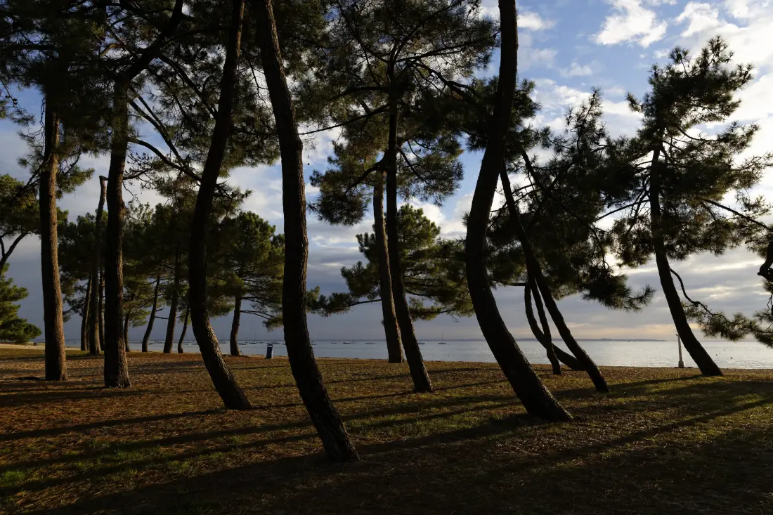 House in Ares - Arcachon Basin