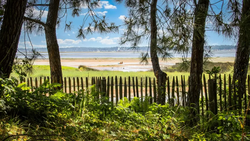 Camping Les Goélands 31 Stars★ - Beach