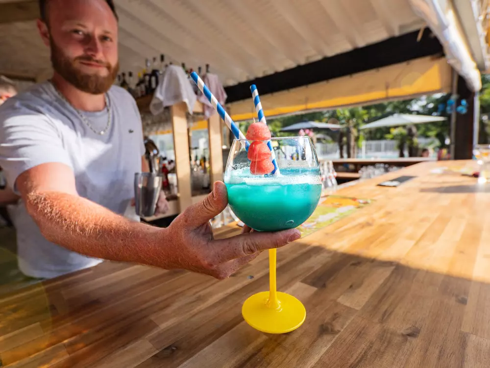 Camping Les Goélands 31 Stars★ - Beach