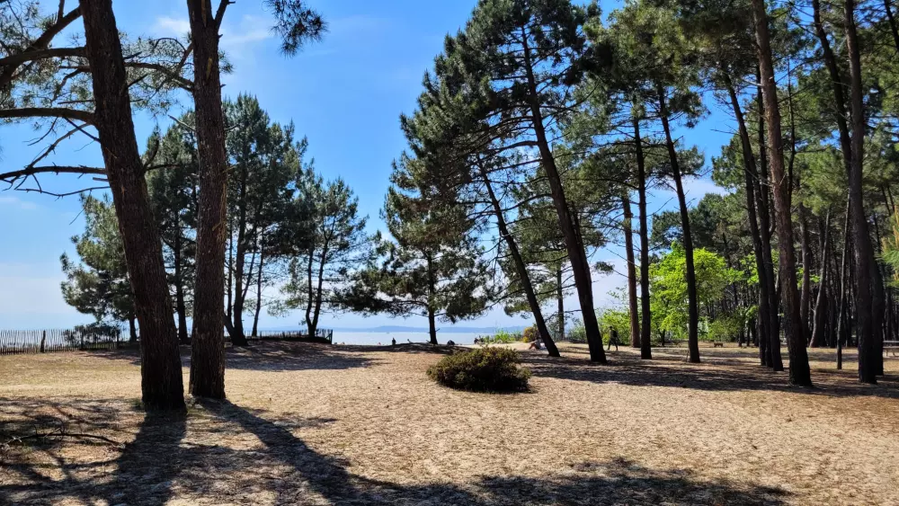 Camping Les Goélands 31 Stars★ - Beach