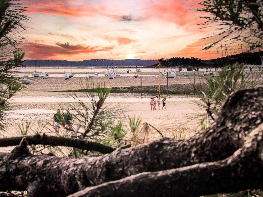 Camping Les Goélands 31 Stars★ - Beach