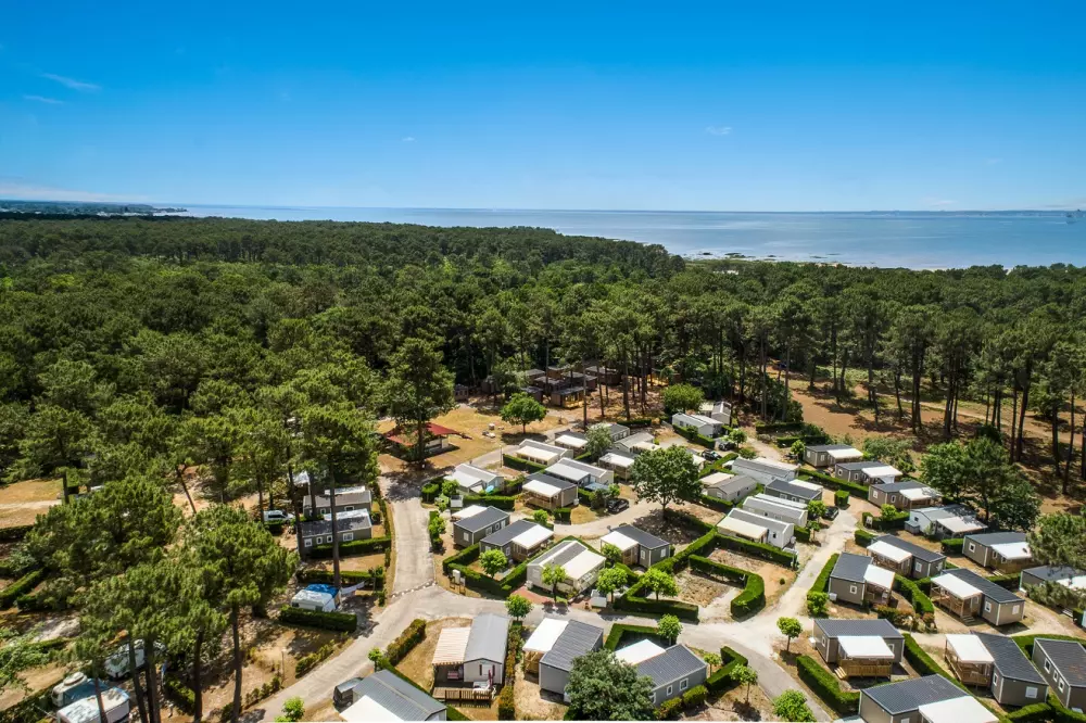 Camping Les Goélands 31 Stars★ - Beach