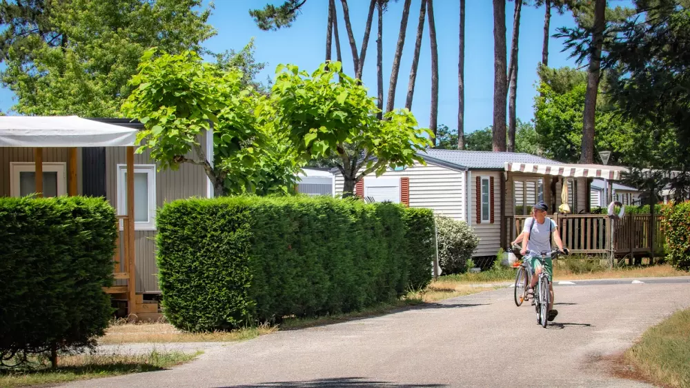 Camping Les Goélands 31 Stars★ - Beach