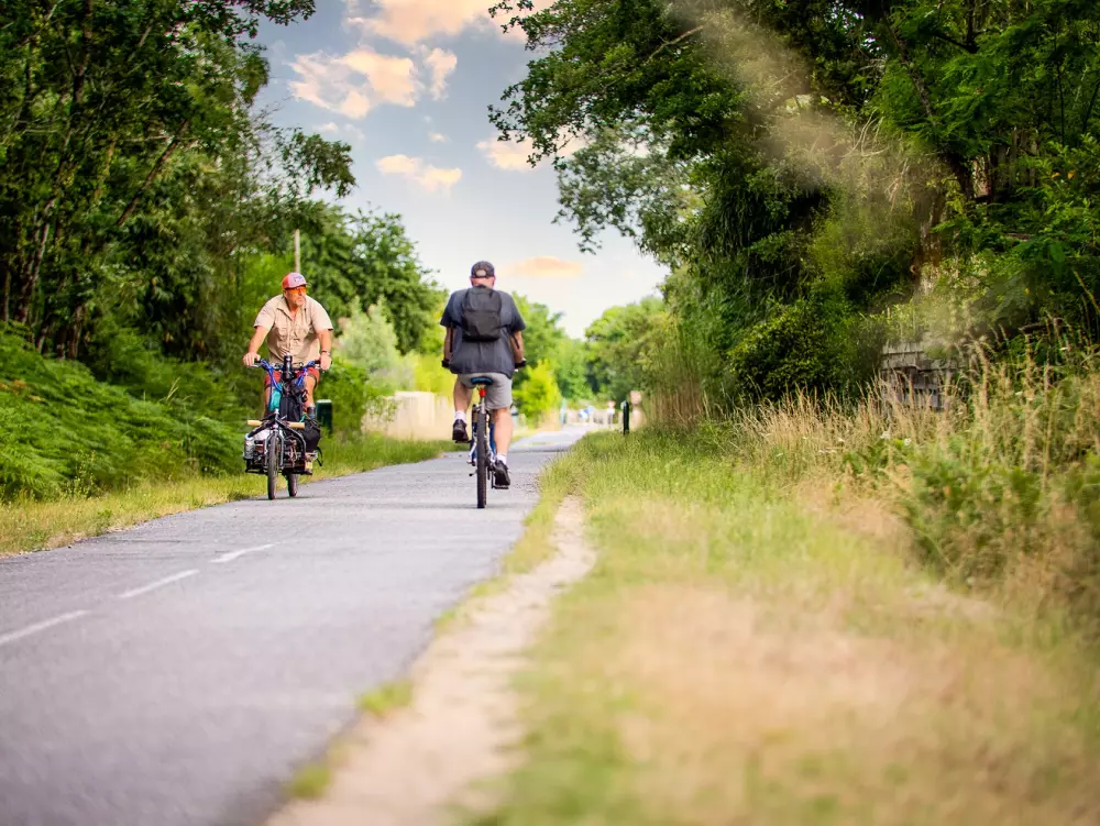 Camping Les Goélands 31 Stars★ - Beach