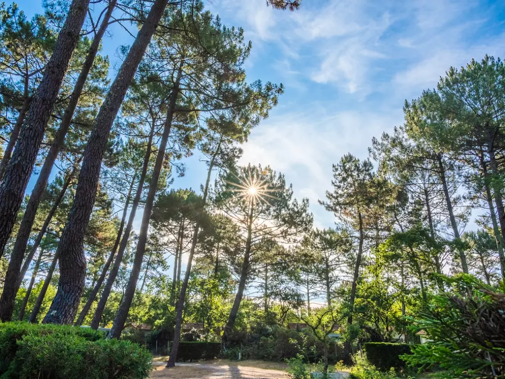 Camping Les Goélands 31 Stars★ - Beach