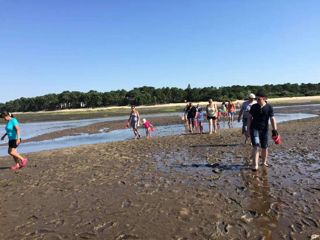 Bloemencamping La Canadienne 4 Sterren★★★★