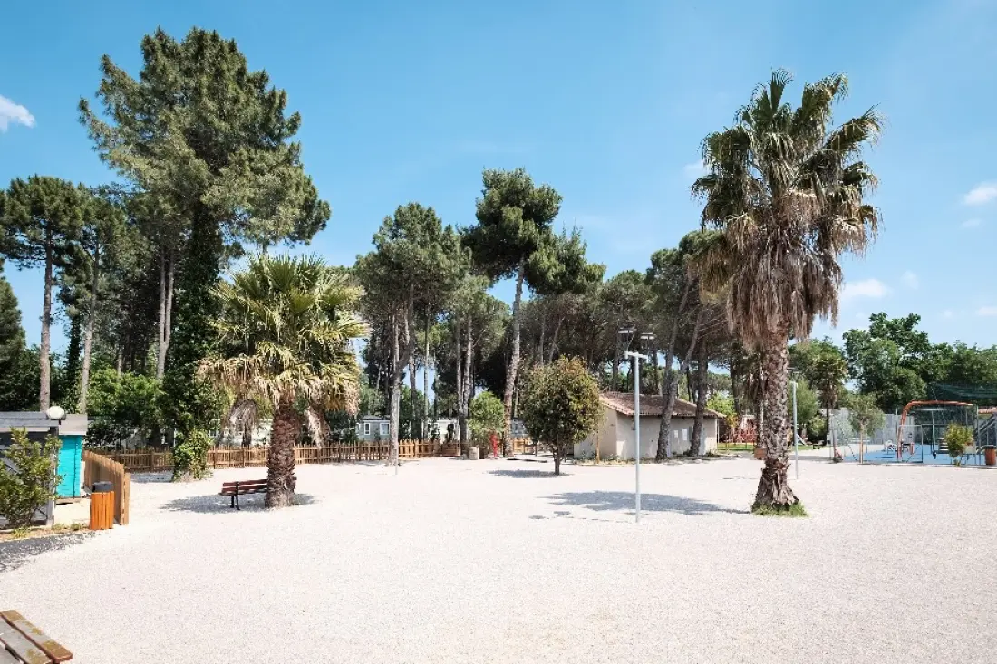 Camping Taxo Les Pins 4 Stars★★★★