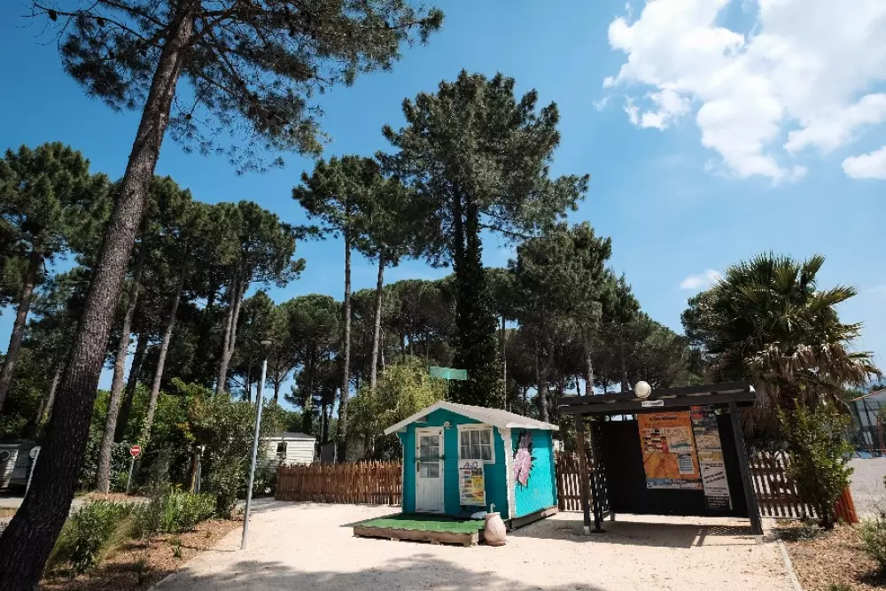 Camping Taxo Les Pins 4 Estrellas★★★★