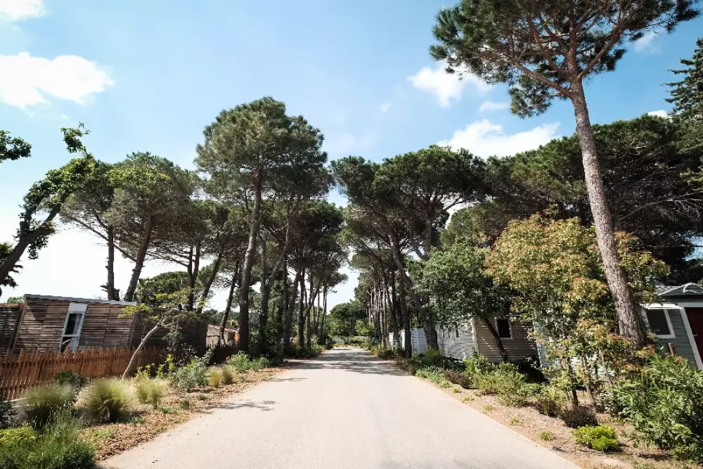 Camping Taxo Les Pins 4 Estrellas★★★★