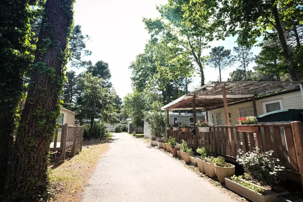 Camping Taxo Les Pins 4 Estrellas★★★★