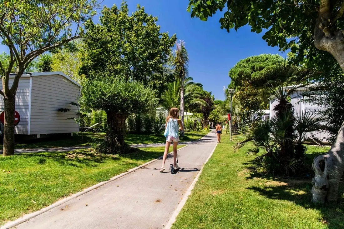 Camping L'Hippocampe 5 étoiles★★★★★