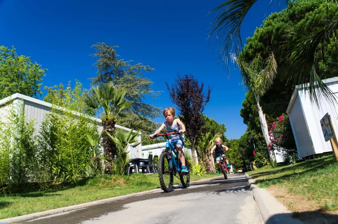Camping L'Hippocampe 5 étoiles★★★★★