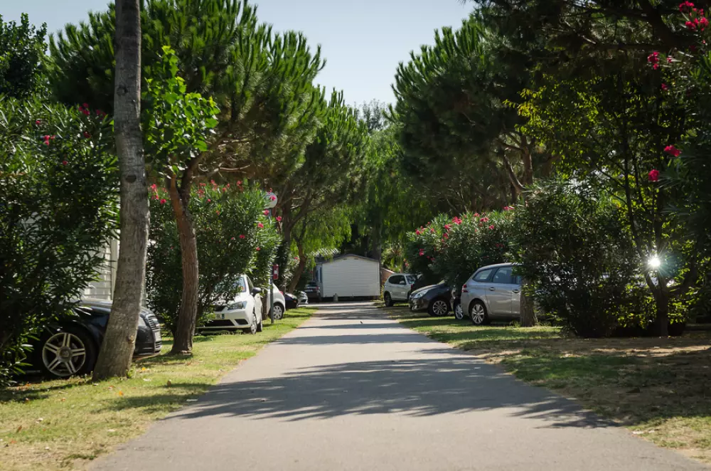 Campsite La Plage3 Stars★★★