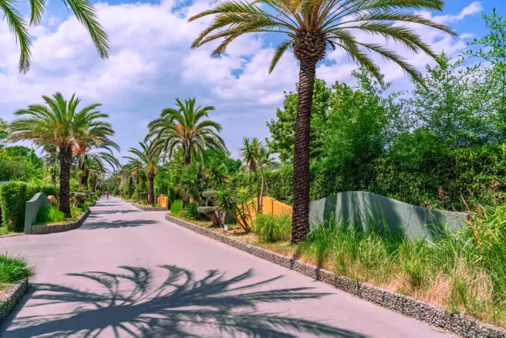 Campingplatz La Sirène 5 Sterne★★★★★