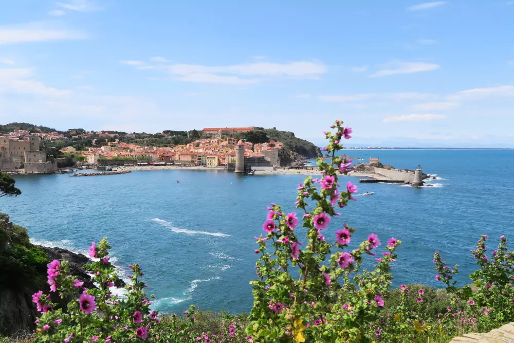 Campsite Le Bois Fleuri 5 Stars★★★★★