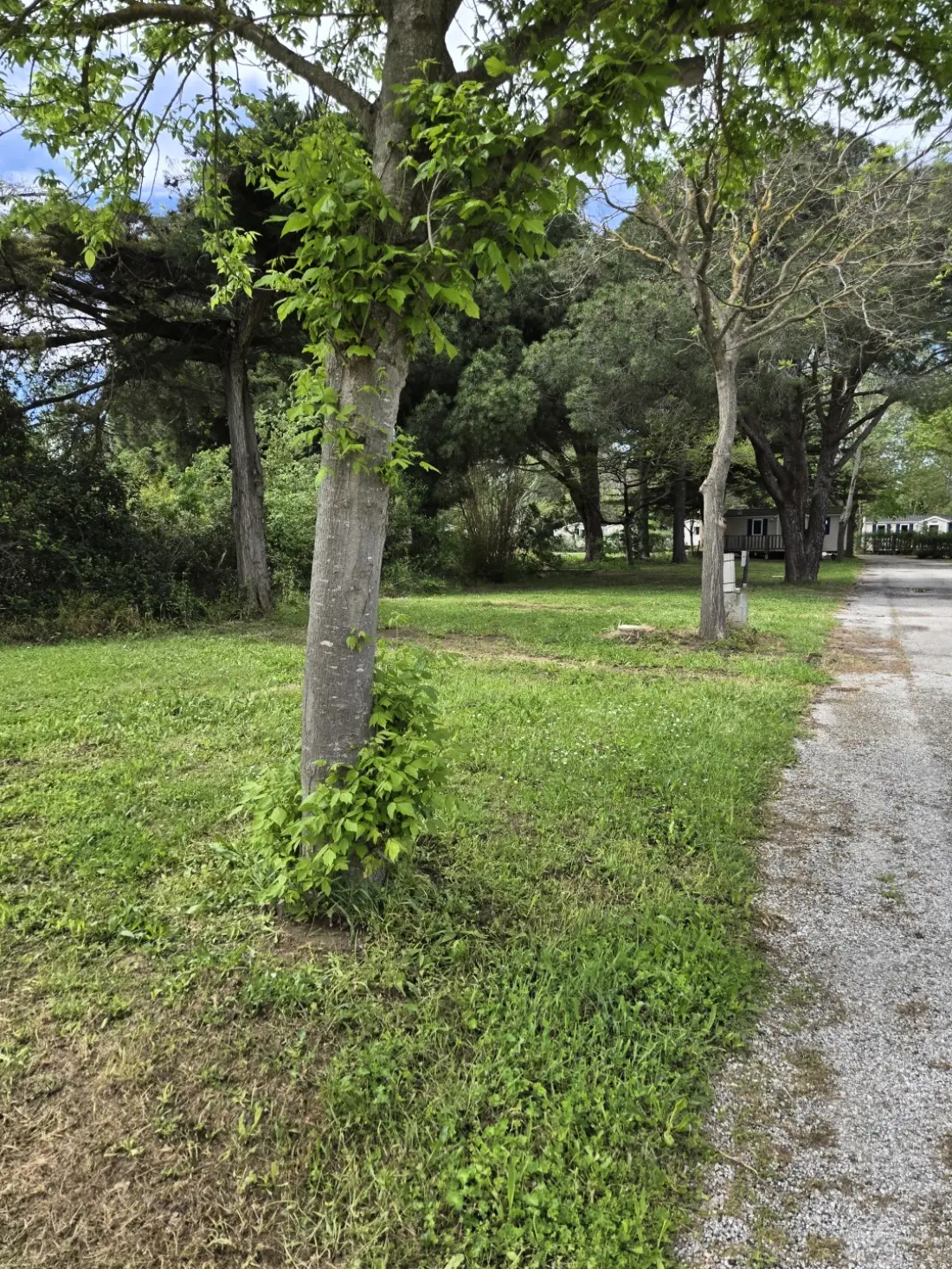 Campingplatz maeva Escapades Les Abricotiers
