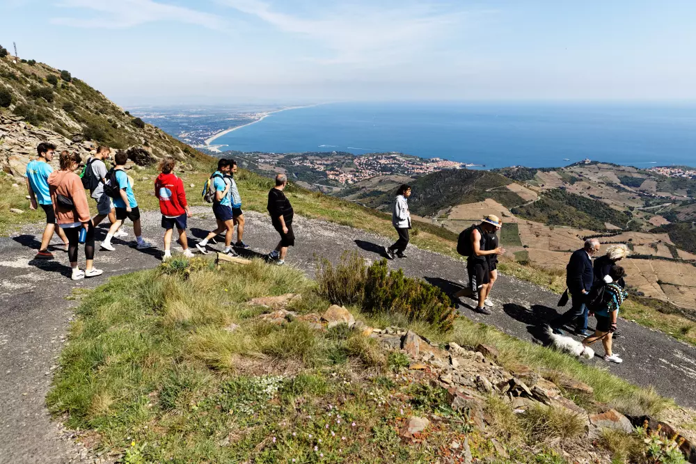 Camping Paradis Le Pearl4 Sterren★★★★