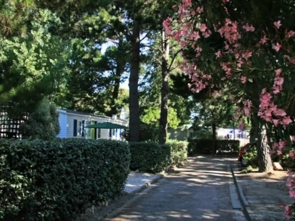 Chadotel Les Jardins Catalans 4 Sterren★★★★