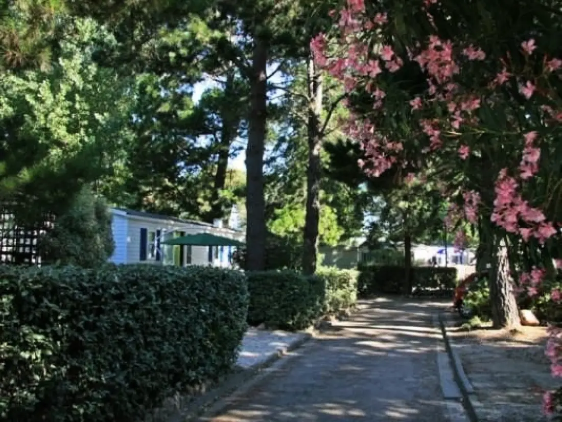 Chadotel Catalan Gardens 4 Stars★★★★